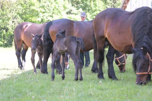 DSC_4793